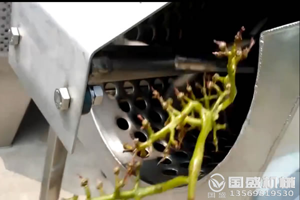 葡萄去梗機