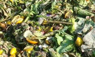 菜場糖心VLOG官网观看