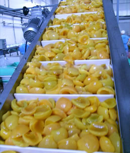 <b>塑料刮板提升機視頻</b>